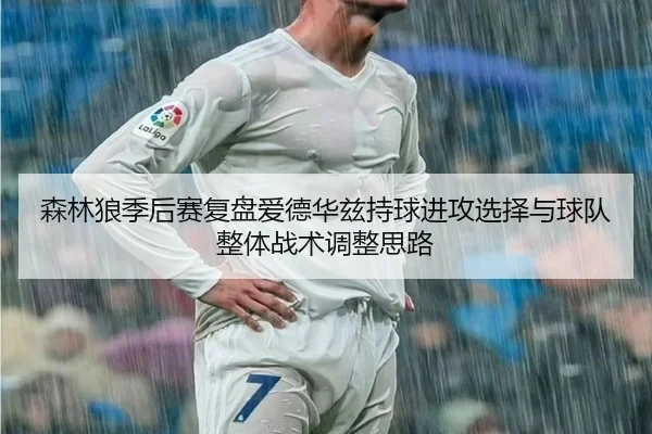 森林狼季后赛复盘爱德华兹持球进攻选择与球队整体战术调整思路
