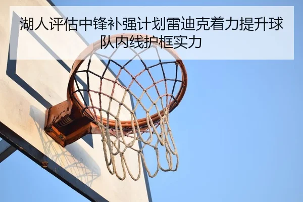 湖人评估中锋补强计划雷迪克着力提升球队内线护框实力